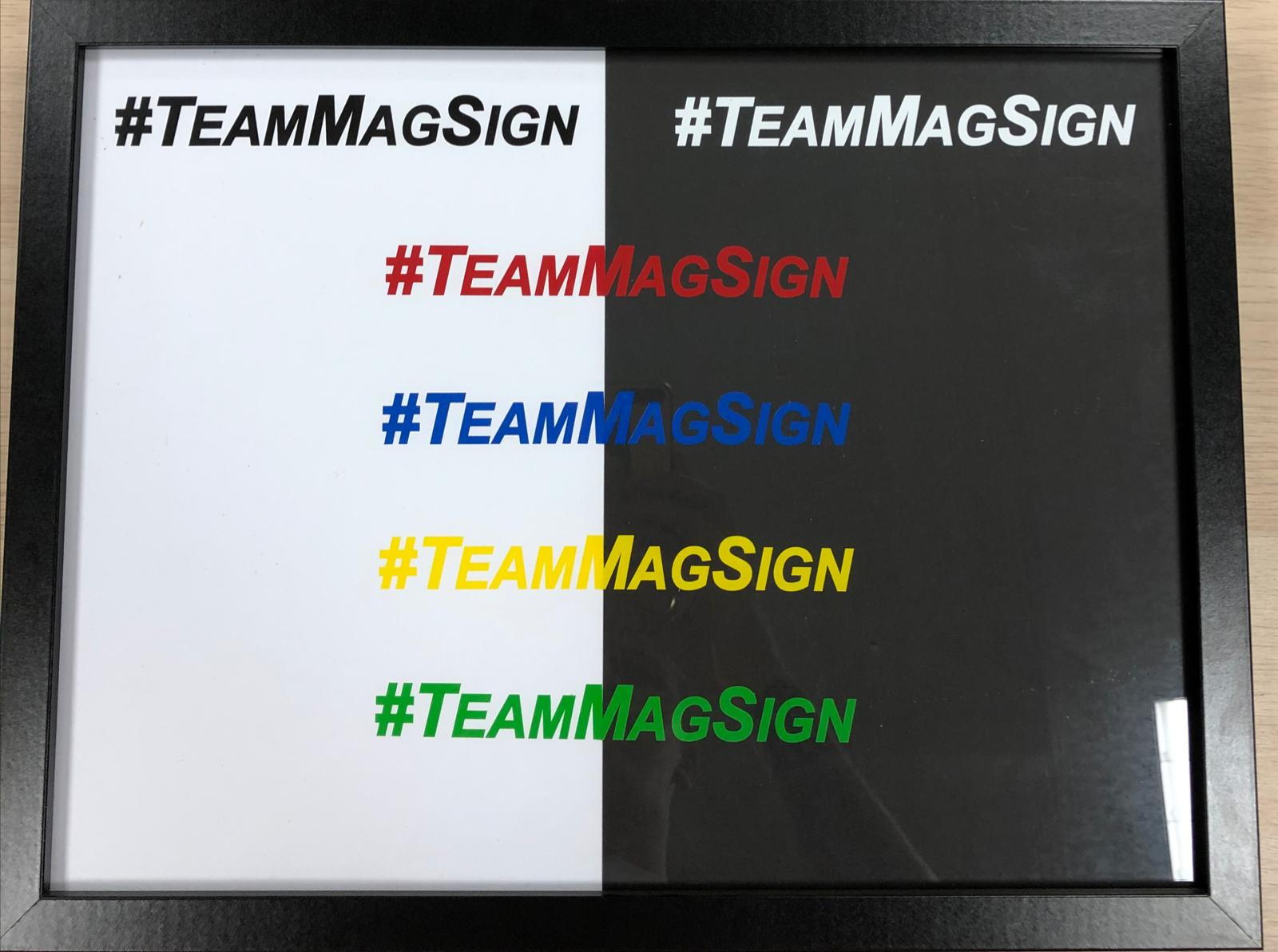 #TeamMagSign