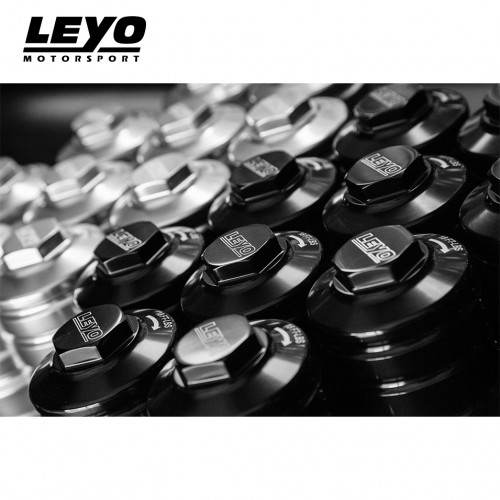 Leyo Motorsport Öl-Filter Gehäuse MQB EA888 3.GEN